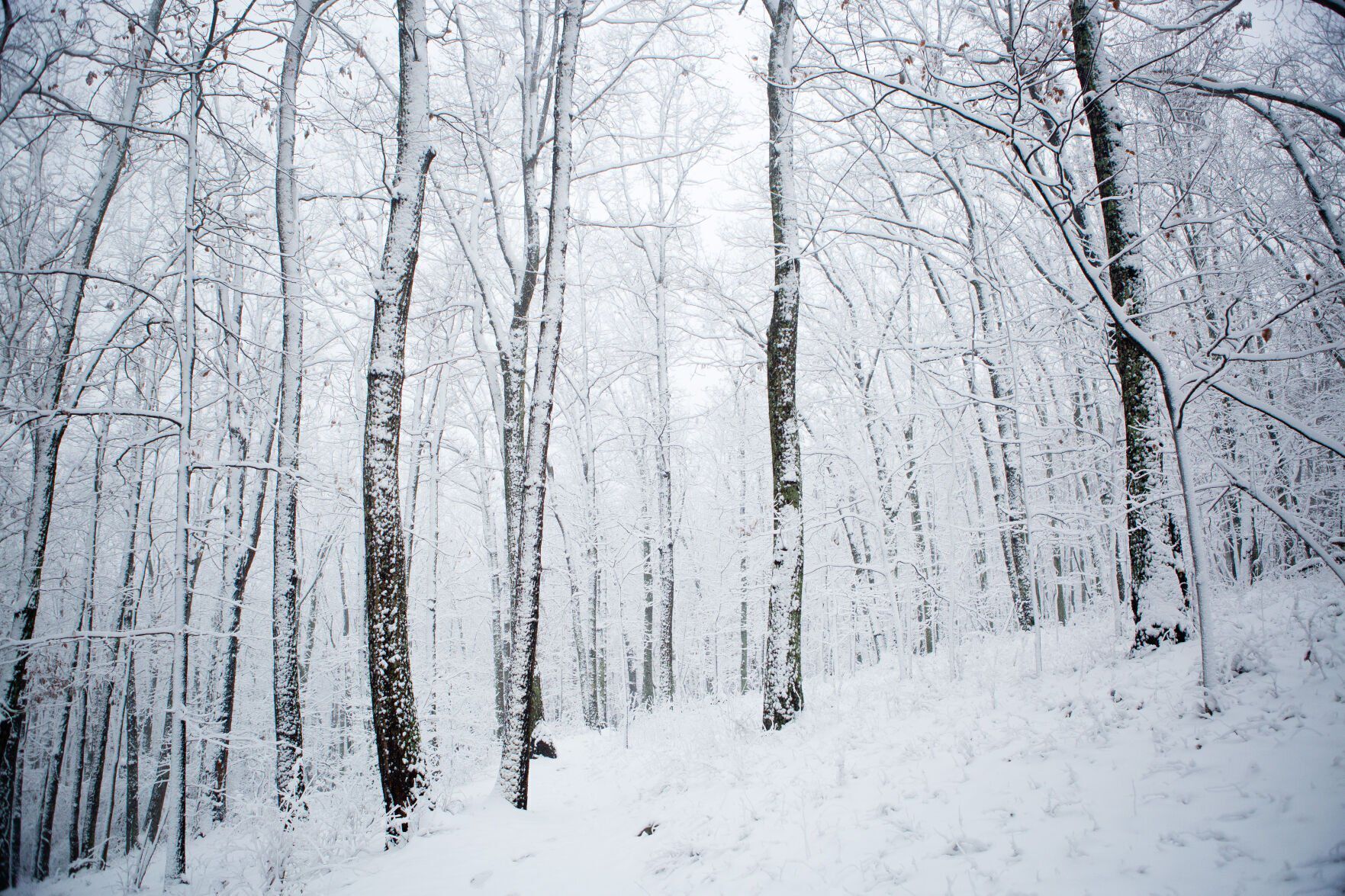 Roanoke Winter Weather
